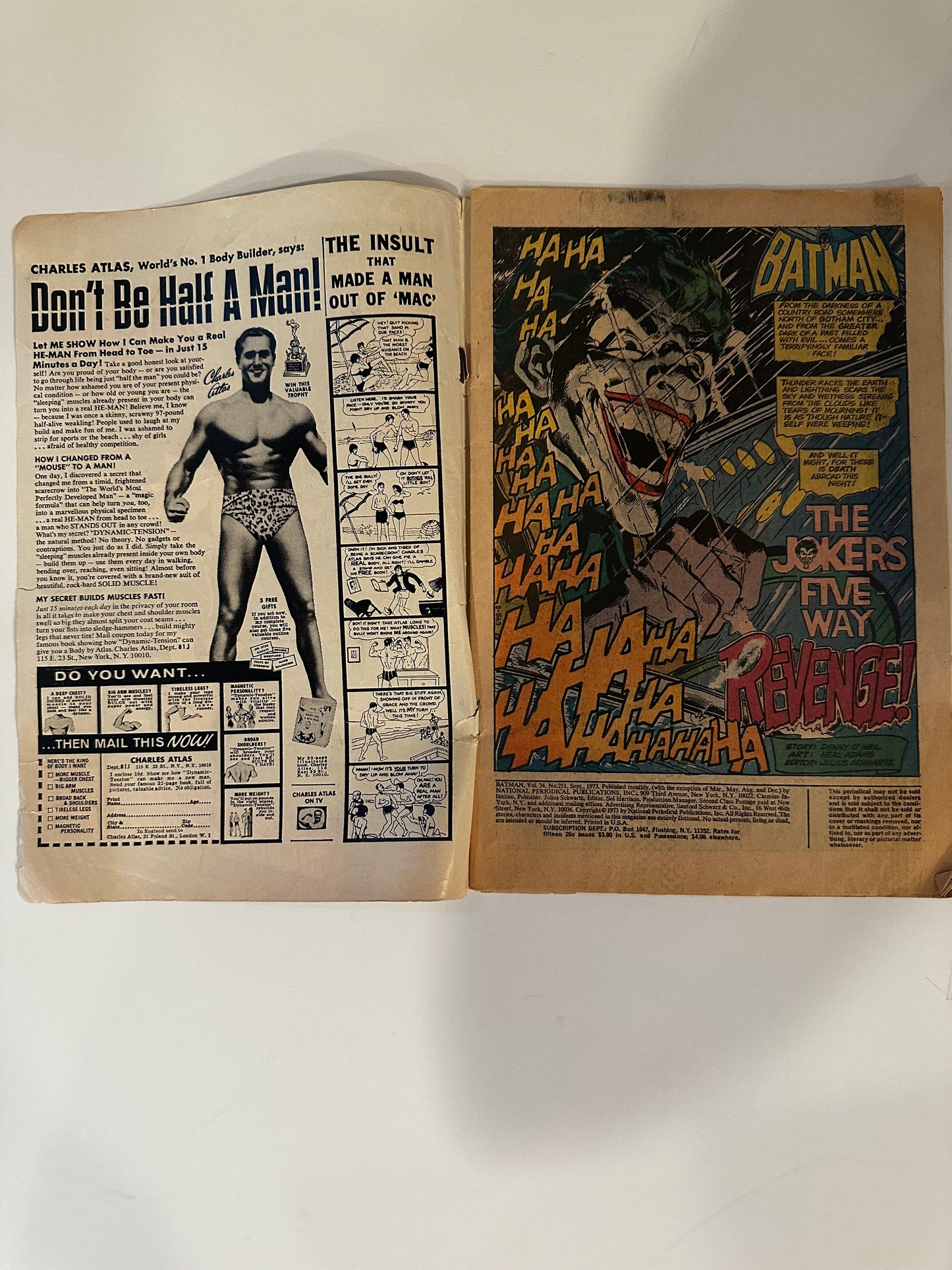 Batman 251 DC Comics Major Bronze Age Key Iconic Neal Adams Art 1973 Raw Ungraded
